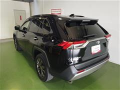 RAV4 G