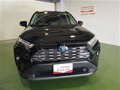 RAV4 ハイブリッドG