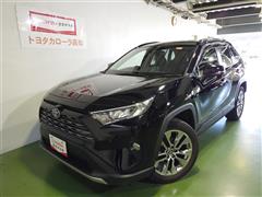 RAV4 G Zパッケージ