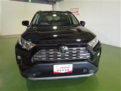 RAV4 G Zパッケージ