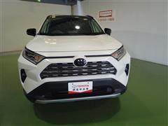 RAV4 ハイブリッドG
