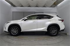 NX300 ヒョウジュンシャ