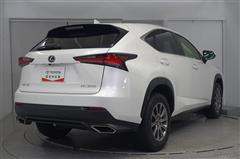 NX300 ヒョウジュンシャ