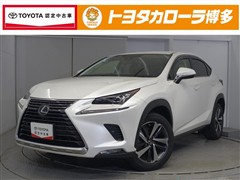 NX300 Iパッケージ