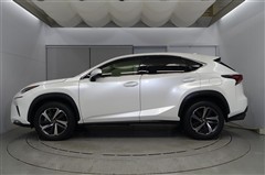 NX300 Iパッケージ