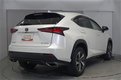 NX300 Iパッケージ