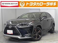 NX300 スパイス&シック