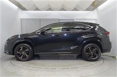 NX300 スパイス&シック