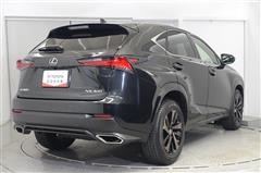 NX300 スパイス&シック