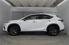 NX300h Fスポーツ