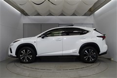 NX300h Fスポーツ