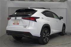 NX300h Fスポーツ