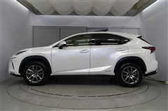 NX300h バージョンL