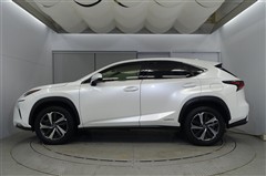 NX300h Iパッケージ