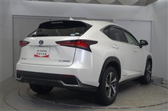 NX300h Iパッケージ