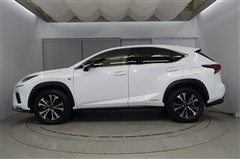 NX300h Fスポーツ