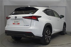 NX300h Fスポーツ