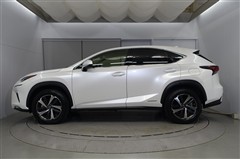 NX300h バージョンL
