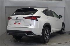 NX300h バージョンL