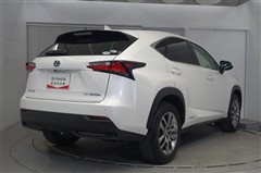 NX300h バージョンL