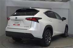 NX300h Fスポーツ