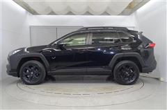 RAV4 アドベンチャー オフロート