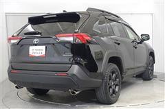 RAV4 アドベンチャー オフロート