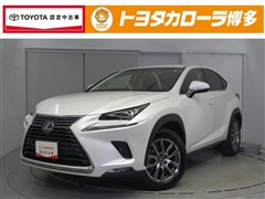 NX300h バージョンL