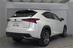 NX300h バージョンL