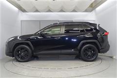 RAV4 G