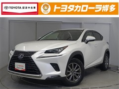 NX300h Iパッケージ