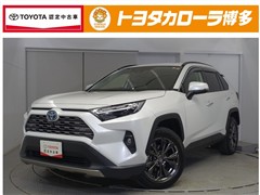 ＲＡＶ４