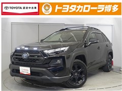 ＲＡＶ４
