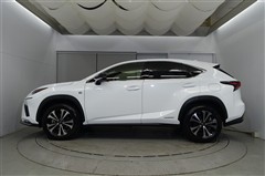 NX300h Fスポーツ