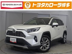 RAV4 G Zパッケージ