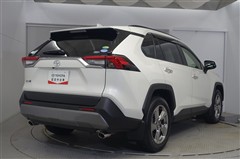 RAV4 G
