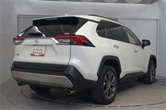 RAV4 G