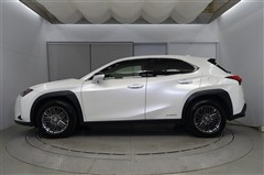 UX250h バージョンC