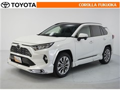 RAV4 G Zパッケージ