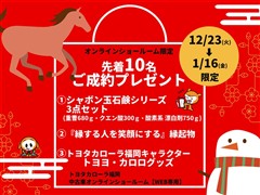 ヤリスクロス Z