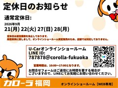 カローラフィールダーHVGエアロWXB