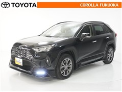 RAV4 G