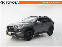 RAV4アドベンチャーオフロードP