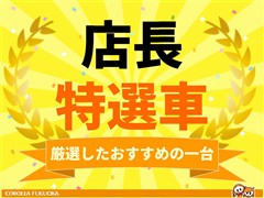 ノア ハイブリッド SI WXB2