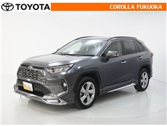 RAV4 G