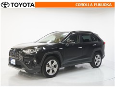RAV4 ハイブリッド G*