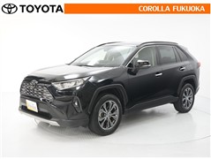 RAV4 G