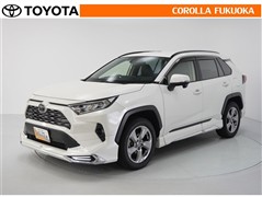 RAV4 G