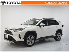RAV4 G