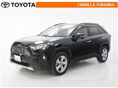 RAV4 G